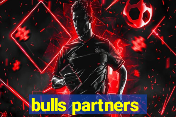 bulls partners